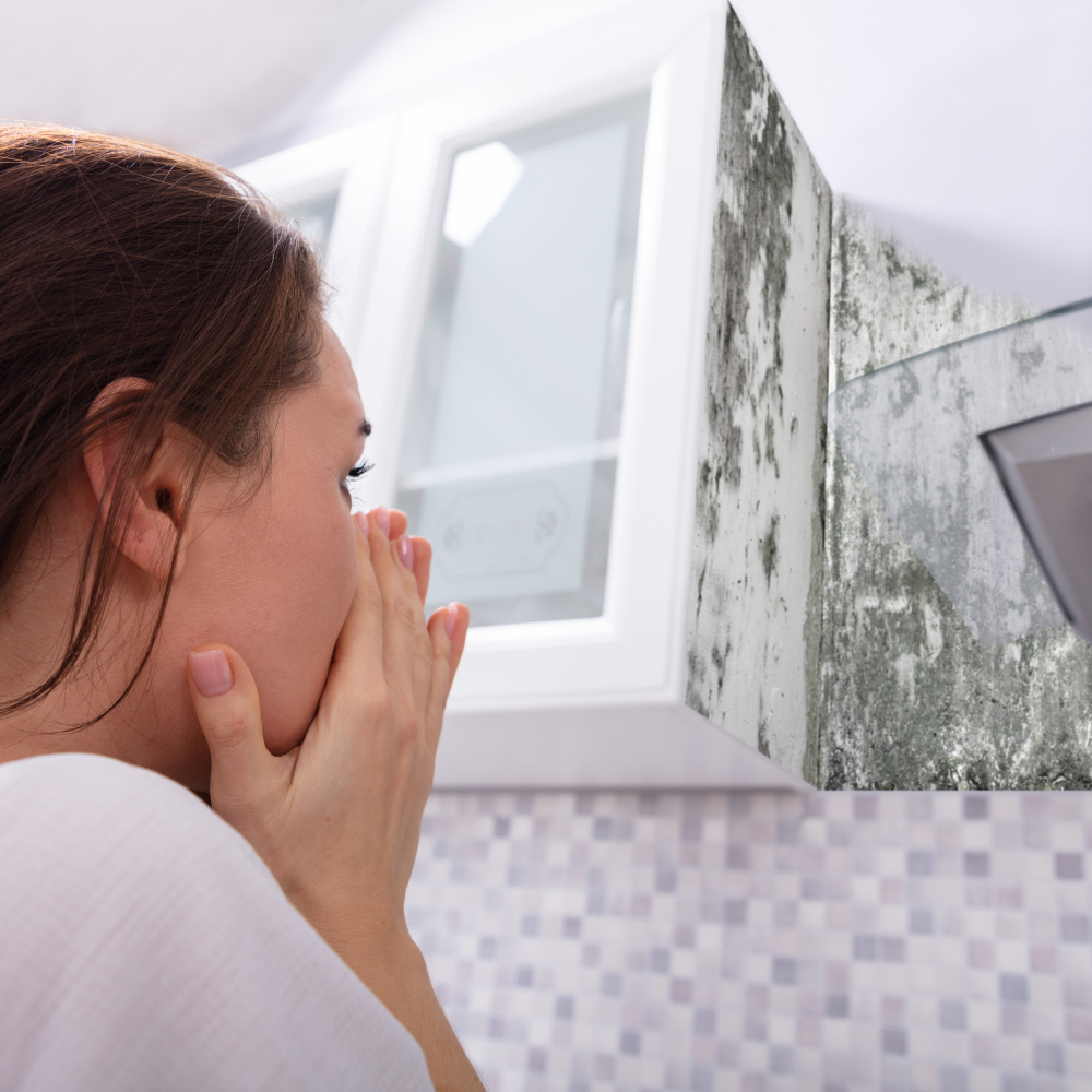 Dryvera property moisture monitoring placeholder